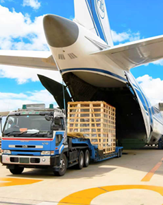 Freight Forwarding